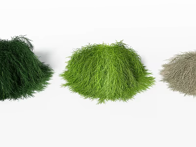 Three Clumps of Multi Colored Grass Dark Green Fresh Green and Light Beige on White Background 3d model