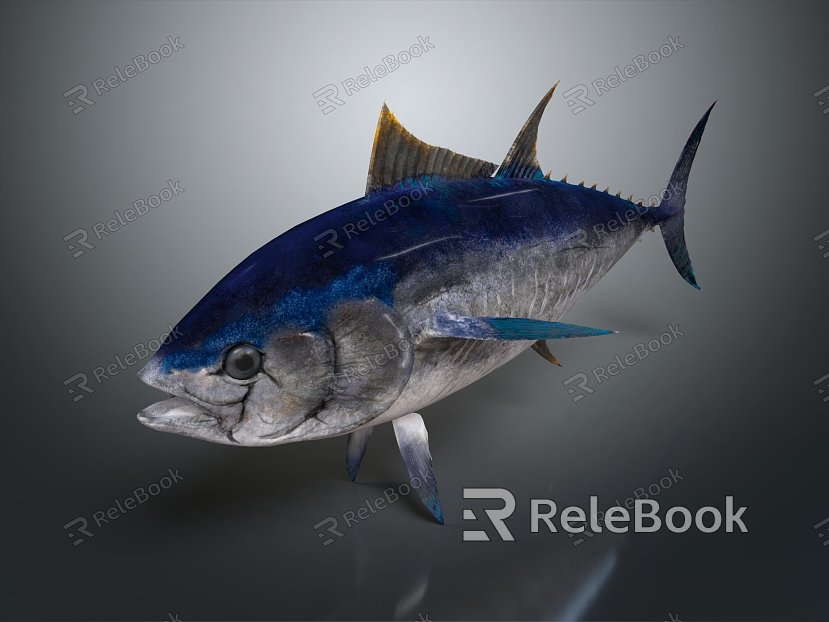 Modern Fish Northern Bluefin Tuna Green Gan Tuna Albacore Tuna Yellowfin Tuna model