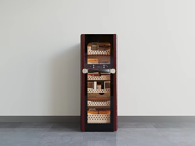 Dark Brown Display Shelf With Multiple Compartments Against Light Wall On Gray Floor 3d model