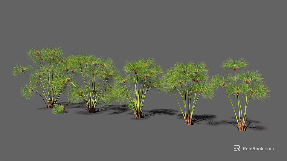 Cluster Of Green Leafy Plants With Slender Stems For Garden Landscaping 3d model 
