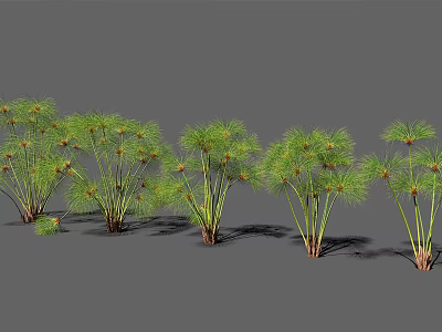 Cluster Of Green Leafy Plants With Slender Stems For Garden Landscaping 3d model