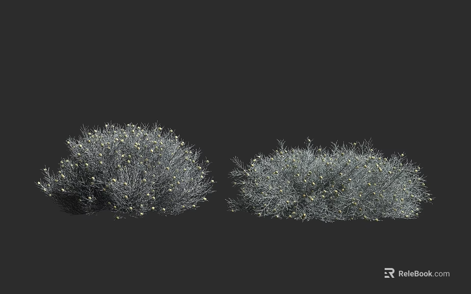 Lush Green Shrub With Small White Flowers In Outdoor Garden Landscape 3d model 