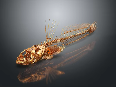 Golden Fish Skeleton Structure With Skull Spines And Dark Background Reflection 3d model