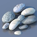 Fresh Green Leaf Plant With Decorative Stones And Natural Foliage Design