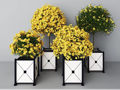 Round Crown Trees With Yellow Flowers In Black White Square Planters And Geometric Patterns 3d model