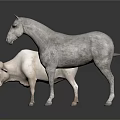 White Horse And Sheep Standing Together On White Background