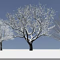 Snow Covered Arbor With Thick Branches Against Blue Sky And Snowy Ground
