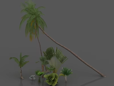 Tropical Palm Trees And Lush Green Plants In Natural Garden Landscape Setting 3d model