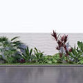 Varied Garden Plants With Palm Fronds Red Blooms Green Foliage By White Textured Wall