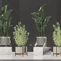 Modern Indoor Potted Plants with Marble Metal Base Planters Large Leafy and Small Green Foliage