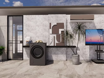 Modern Washing Machine In Balcony With Textured Wall Palm Plant And TV 3d model
