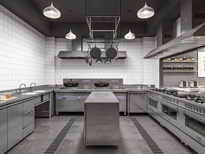 Modern Commercial Kitchen With Stainless Steel Equipment Central Island And Hanging Cookware 3d model