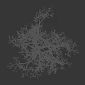 Four Leafless Trees With White Silhouette On Black Background Design Artwork