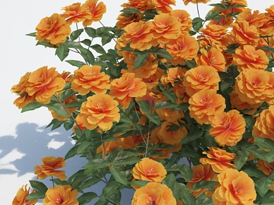 Abundant Blooming Orange Flowers With Lush Green Leaves In Vibrant Garden 3d model