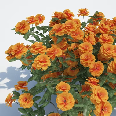 Abundant Blooming Orange Flowers With Lush Green Leaves In Vibrant Garden 3d model