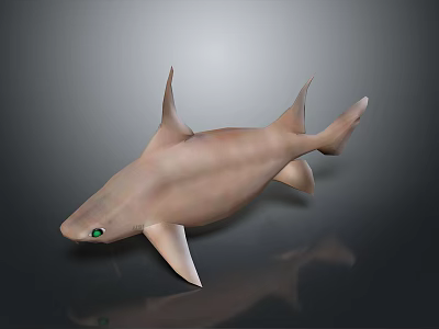 Light Brown Shark with Green Eyes in 3D Model on Dark Background 3d model