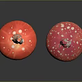 Red Mushrooms With White Spots Shiny Caps As Fresh Organic Food