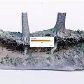 Natural Stone and Wood Scene with Exposed Tree Roots Soil and Green Moss