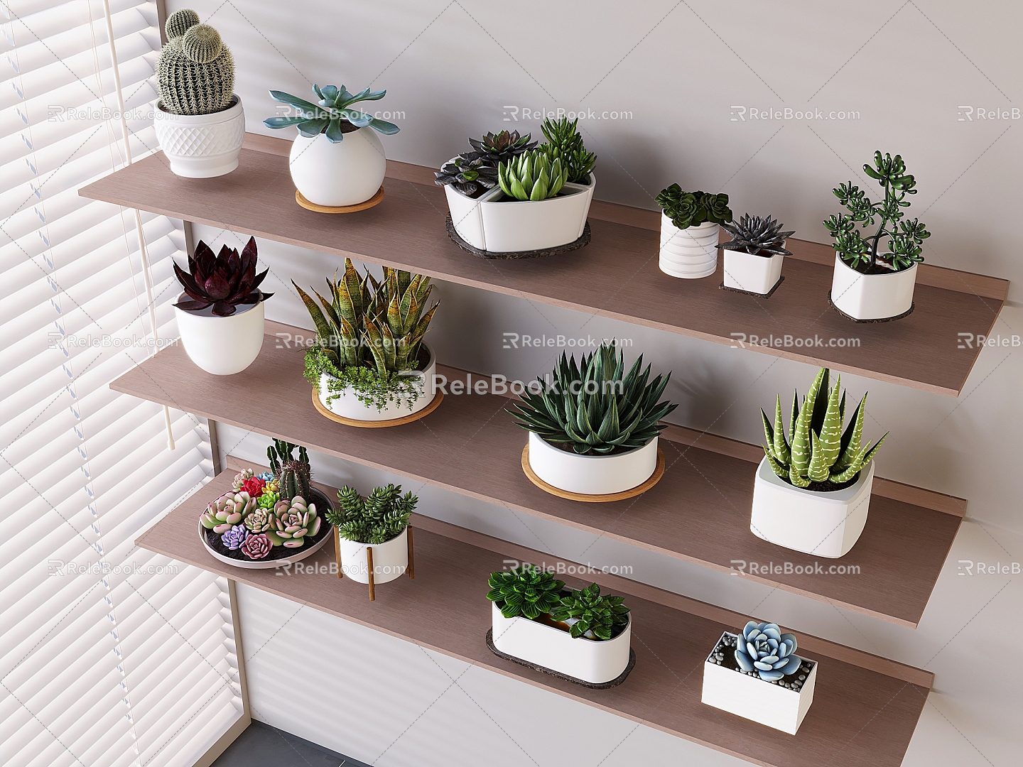 Fleshy Potted Plant Combination Desktop Green Plant Fleshy Potted Plant Solid Wood Partition Storage Rack 3d model