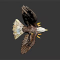 Eagle Statue With Spread Wings White Head Yellow Beak And Yellow Talons On Dark Background