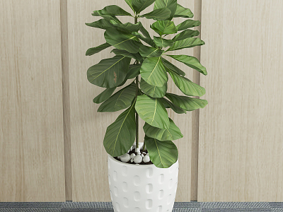 Modern potted green plant model