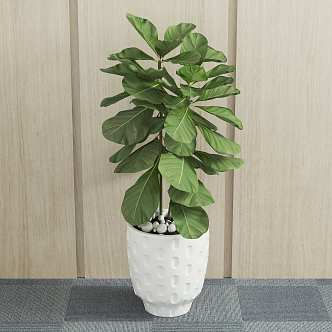 Modern potted green plant 3d model