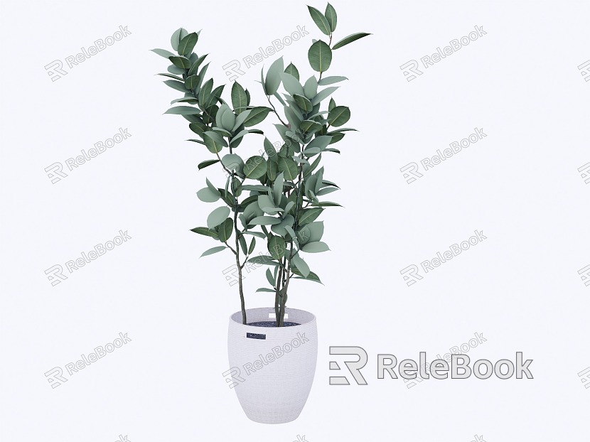 Home improvement potted plants model