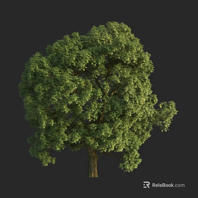 Vibrant Green Arbor With Full Lush Foliage In Natural Outdoor Setting 3d model 