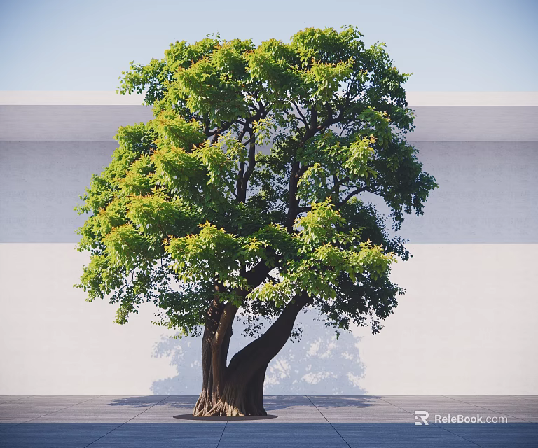 Lush Green Arbor with Thick Trunk Two Main Branches Against Light Wall and Blue Sky 3d model 