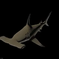 Realistic Brown Shark 3D Model With Fins Tail And Smooth Gray Background Surface 3d model