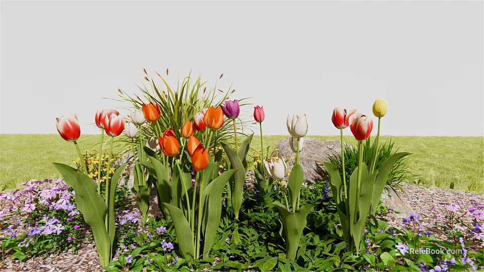 Colorful Tulips And Purple Small Flowers In Garden With Green Grass 3d model 