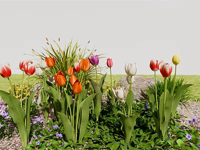 Colorful Tulips And Purple Small Flowers In Garden With Green Grass 3d model