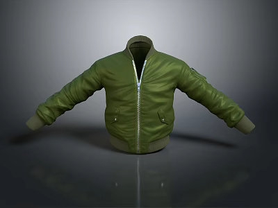 Green Bomber Jacket With Classic Design Zipper Front And Long Sleeves 3d model