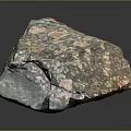 Natural Wood Stone Sample with Colorful Speckled Texture and Irregular Shape