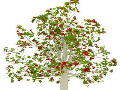 Tall Arbor With Green Red Leaves And White Trunk Featuring Lush Foliage 3d model