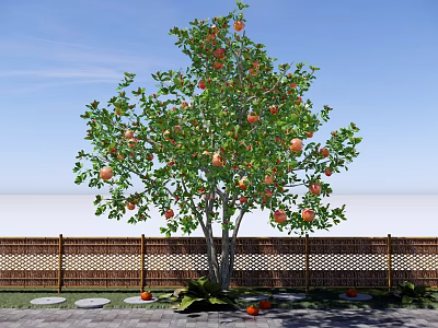 Garden Landscape Featuring Fruit Tree With Ripe Fruits Wooden Fence And Stone Path 3d model