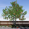 Garden Landscape Featuring Fruit Tree With Ripe Fruits Wooden Fence And Stone Path