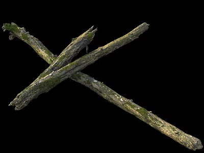 modern trunk 3d model