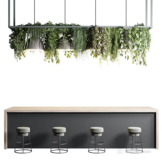 Modern Bar Counter With Hanging Trailing Greenery And Four Gray Stools 3d model