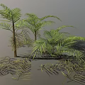 Lush Palm Trees With Green Feathery Leaves Brown Trunks And Scattered Leaves In 3D Render
