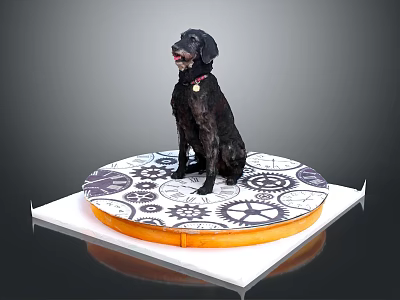 Black dog with red collar sits on round platform with gear patterns and orange edge 3d model