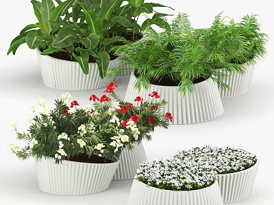Various Potted Plants With Green Leaves And Colorful Flowers In White Ribbed Pots 3d model