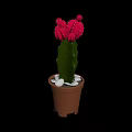 Green Stem Cactus With Red Flowers In Brown Pot And White Pebbles