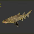 Copper Colored Shark 3D Model With Distinct Fins And Body Structure On Gradient Gray Background