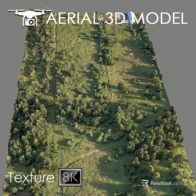 Serene Garden Ornaments With Lush Green Trees Grass Path And Natural Landscape 3d model 