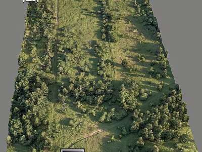 Serene Garden Ornaments With Lush Green Trees Grass Path And Natural Landscape 3d model
