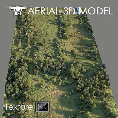 Modern gardening sketch aerial scanning scanning appearance forest 3d model