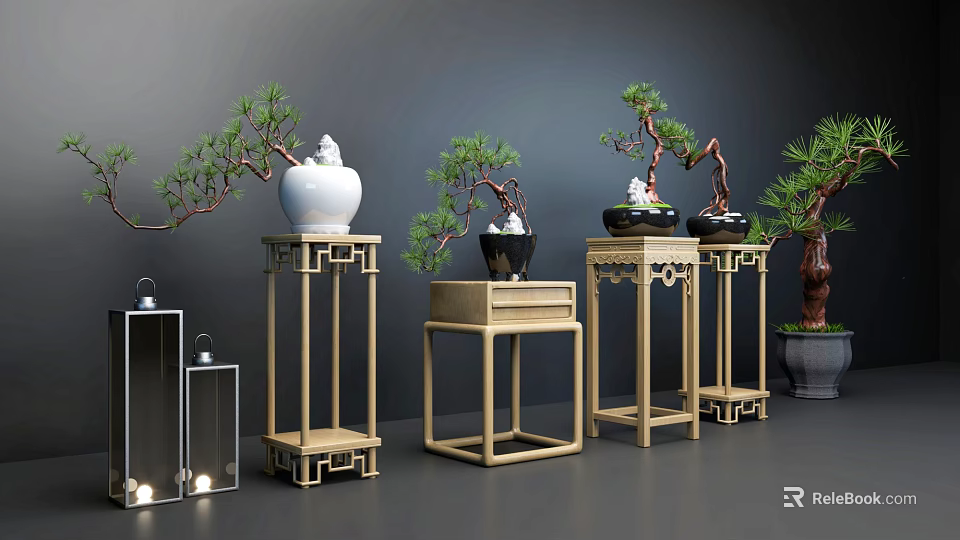 Bonsai Plants Display On Wooden Stands With Ceramic Pots In Interior 3d model 