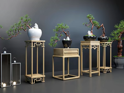Bonsai Plants Display On Wooden Stands With Ceramic Pots In Interior 3d model