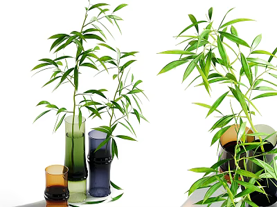 Decorative Colored Glass Vases With Green Bamboo Plants For Home Decor 3d model